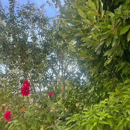 Дом отдыха Charmante Maison Proche Colleville-Montgomery