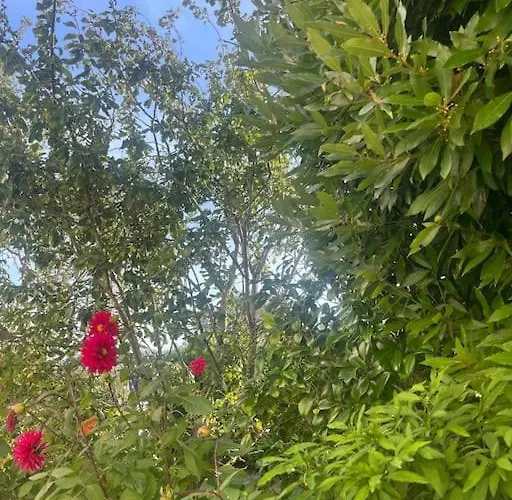 Casa vacanze Charmante Maison Proche Colleville-Montgomery